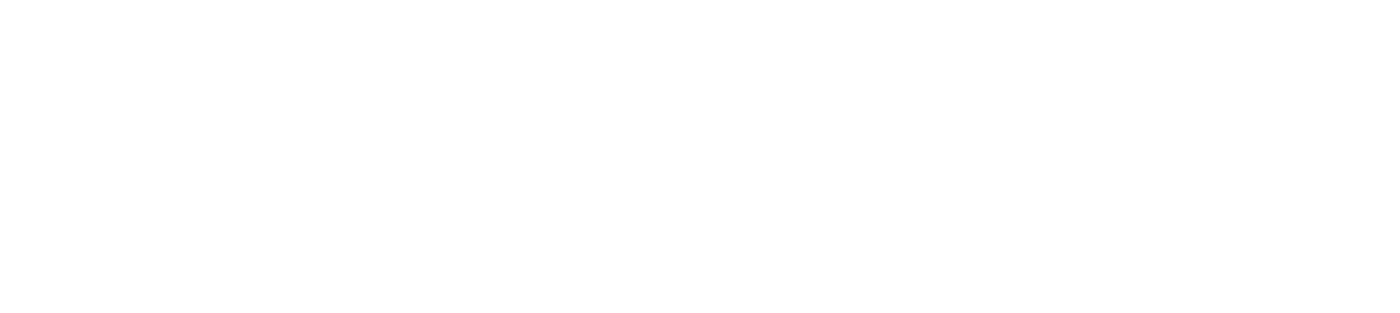 Avolve-Navigate-Logo-White